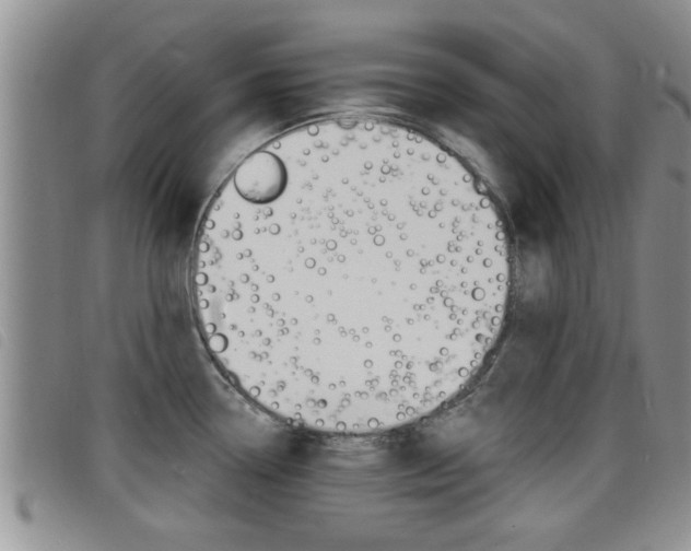 X0000098201338200804241030