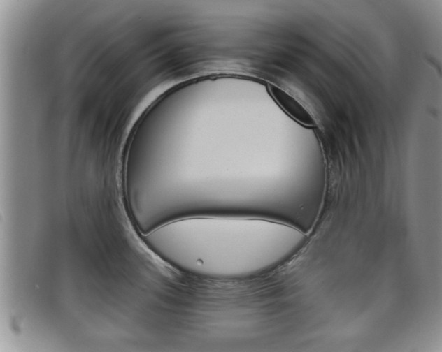 X0000098201339200804241030