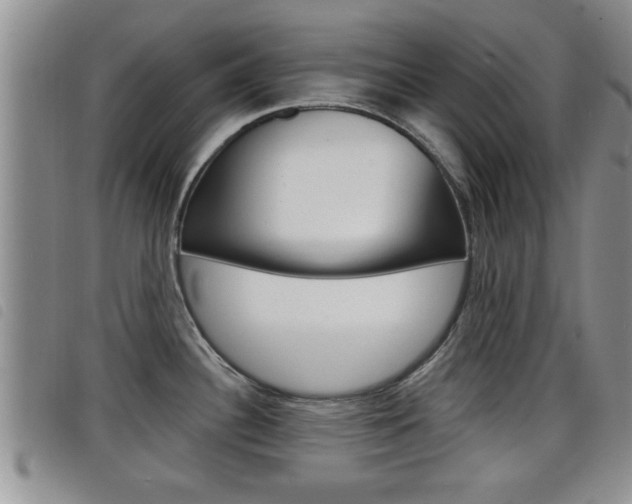 X0000098201340200804241030