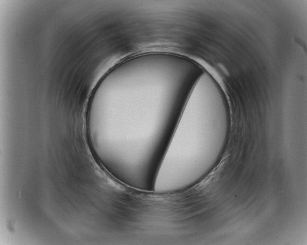 X0000098201341200804241030