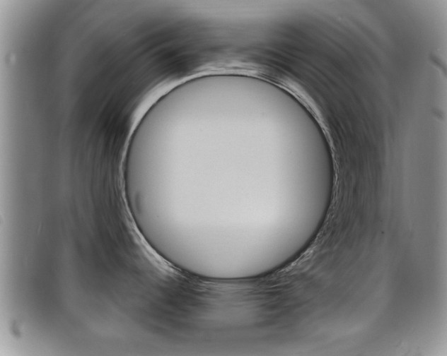 X0000098201344200804241030