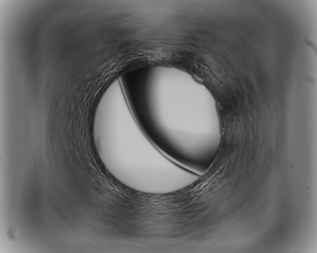 X0000098201345200804241029