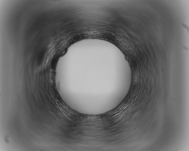 X0000098201346200804241029