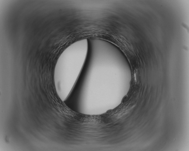 X0000098201347200804241029