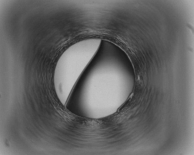 X0000098201348200804241029