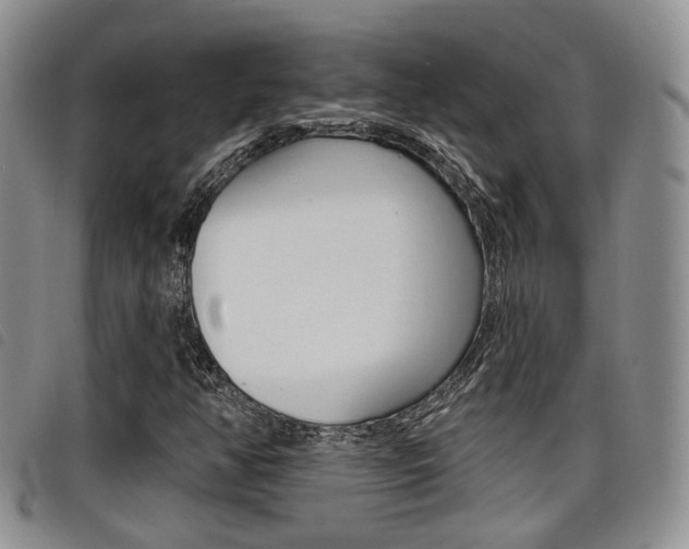 X0000098201350200804241029