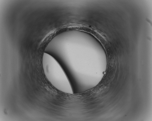 X0000098201351200804241029