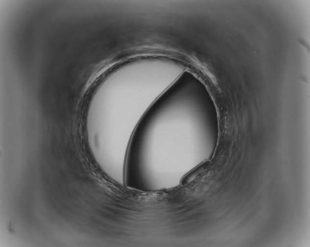 X0000098201352200804241029