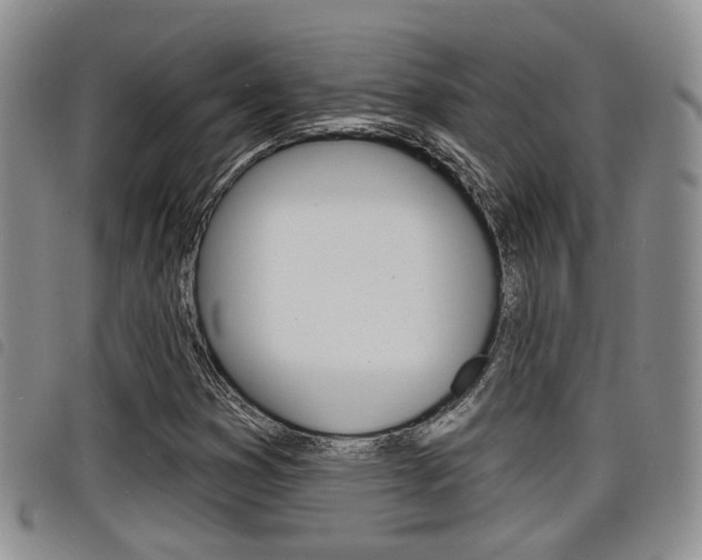 X0000098201353200804241029