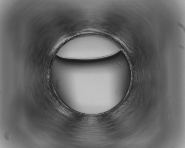 X0000098201355200804241029