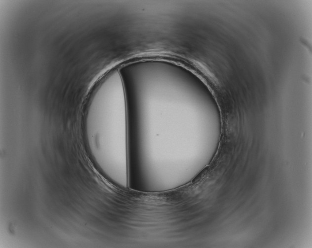 X0000098201356200804241029