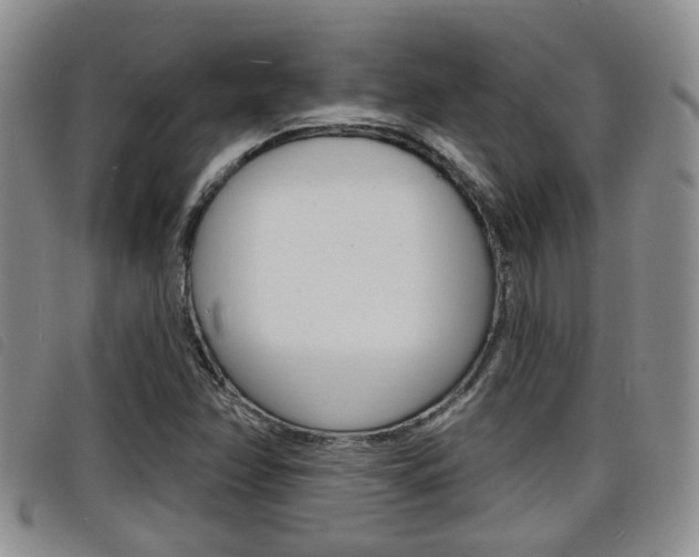 X0000098201358200804241029