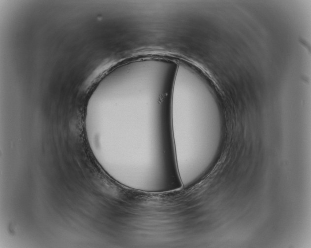X0000098201359200804241029
