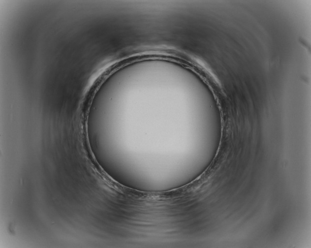 X0000098201360200804241029