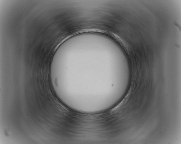 X0000098201361200804241029