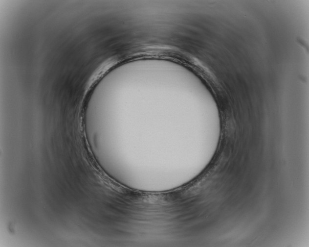 X0000098201362200804241029