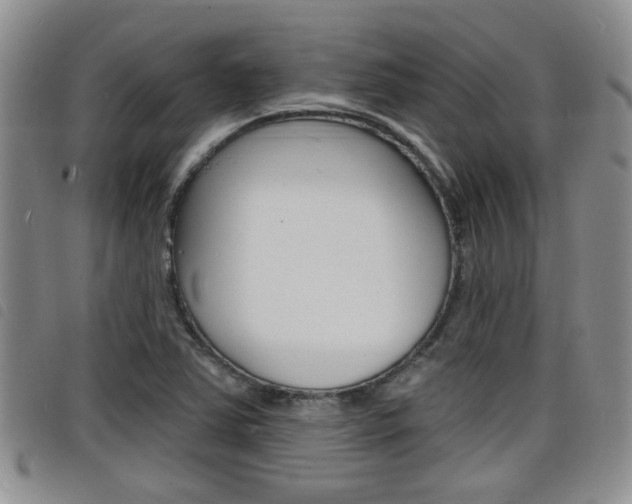 X0000098201363200804241029