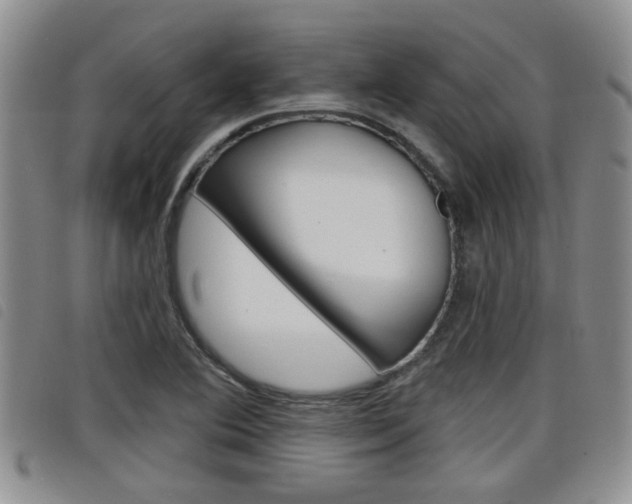 X0000098201364200804241029