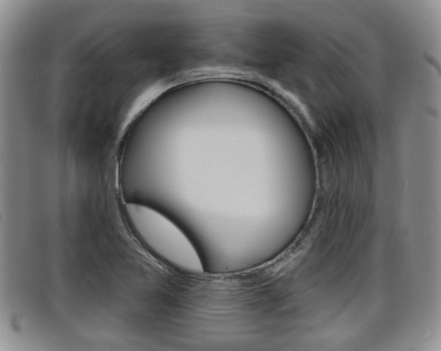 X0000098201365200804241029