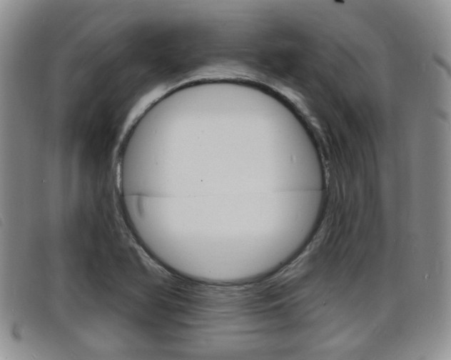 X0000098201366200804241029