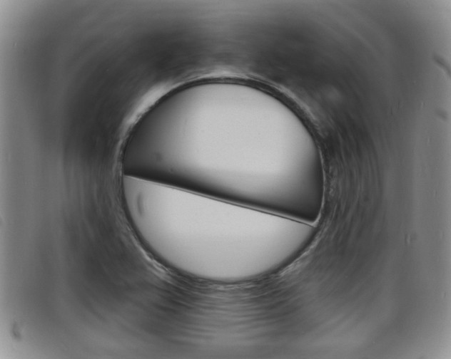 X0000098201367200804241029