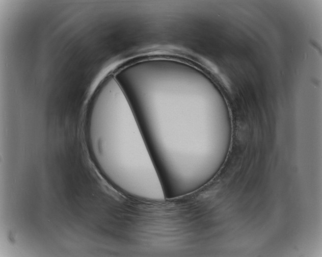 X0000098201368200804241029