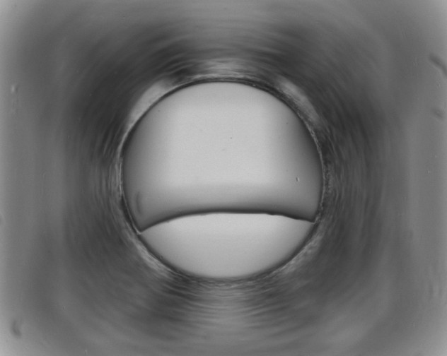 X0000098201370200804241029