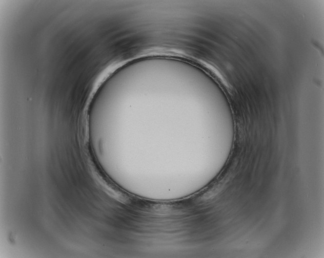 X0000098201371200804241029