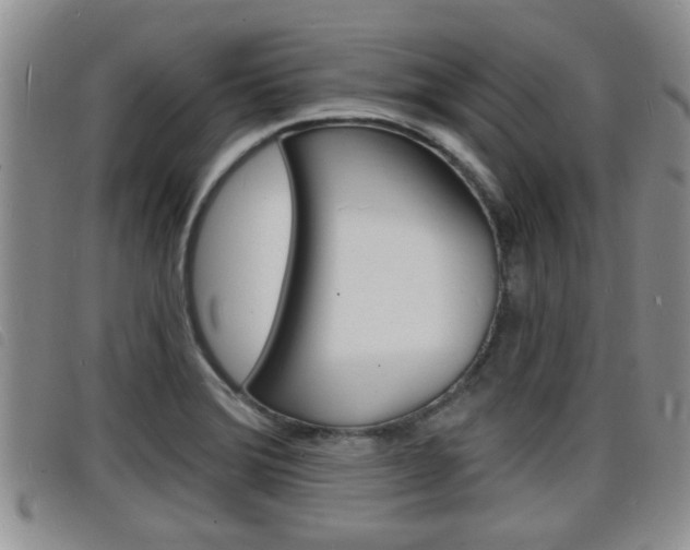 X0000098201372200804241029
