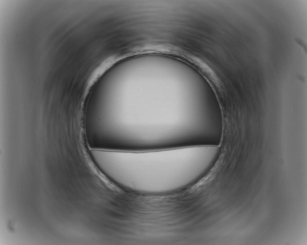X0000098201373200804241029