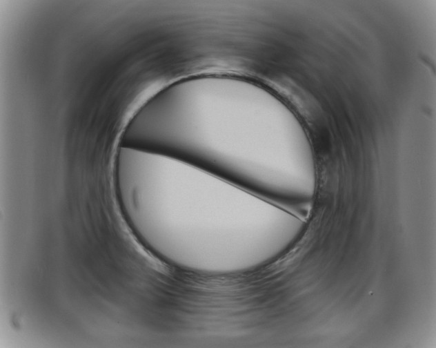 X0000098201375200804241029