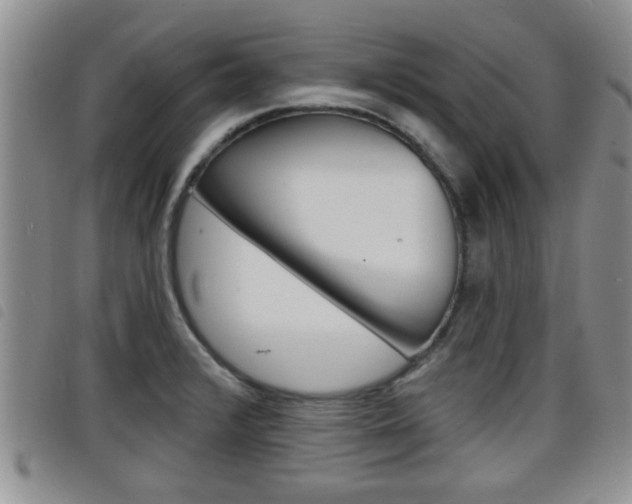 X0000098201376200804241029
