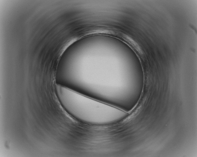 X0000098201377200804241028