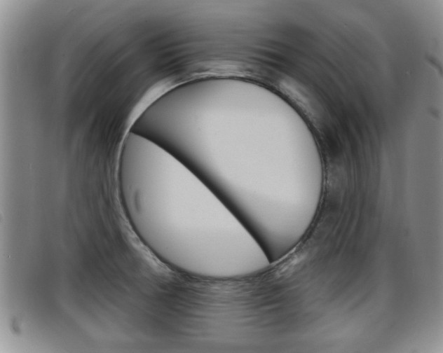 X0000098201378200804241028