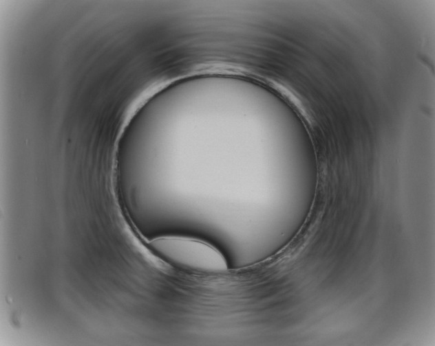 X0000098201379200804241028