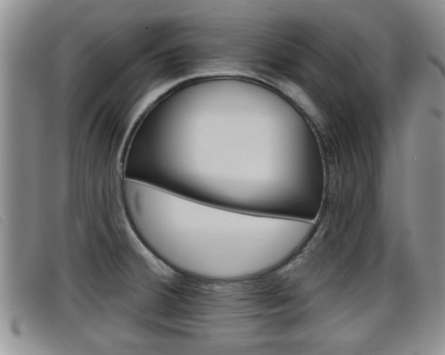 X0000098201380200804241028