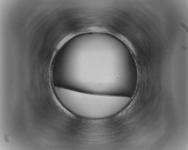 X0000098201381200804241028