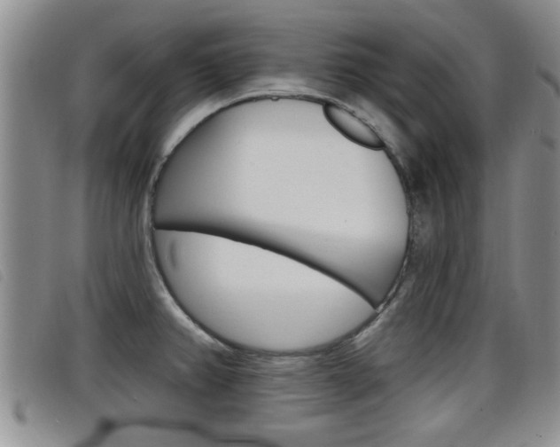X0000098201382200804241028