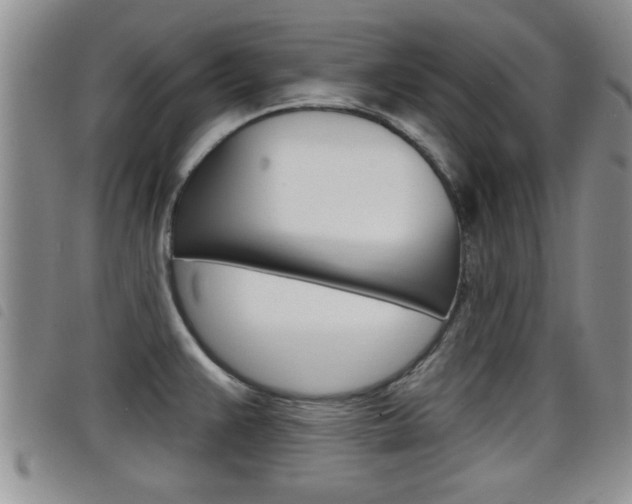 X0000098201383200804241028