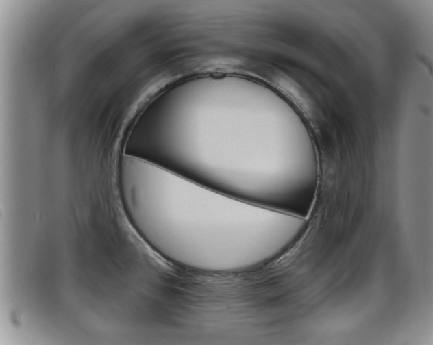X0000098201384200804241028