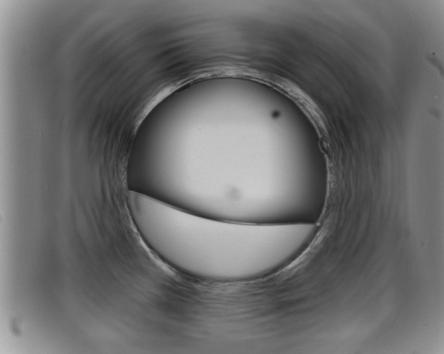 X0000098201385200804241028