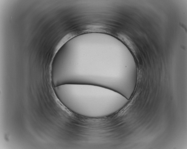 X0000098201386200804241028