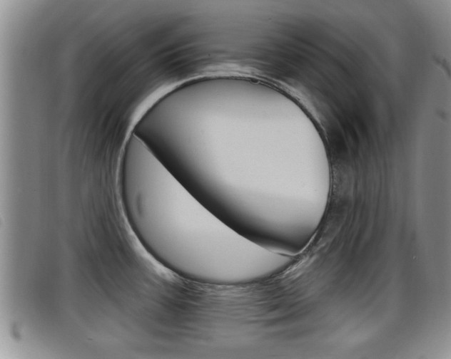 X0000098201387200804241028