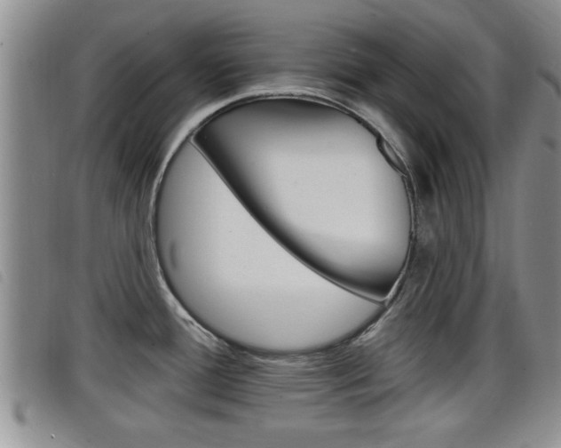 X0000098201388200804241028