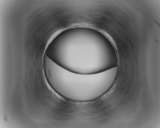 X0000098201389200804241028