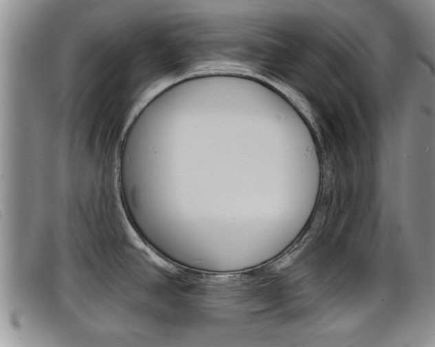 X0000098201390200804241028