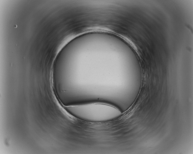 X0000098201391200804241028