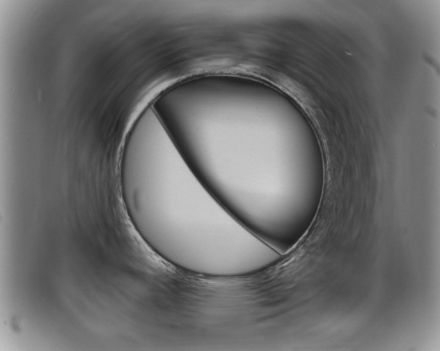 X0000098201392200804241028