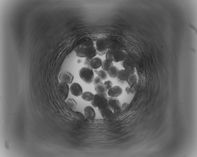 X0000098201393200804241027