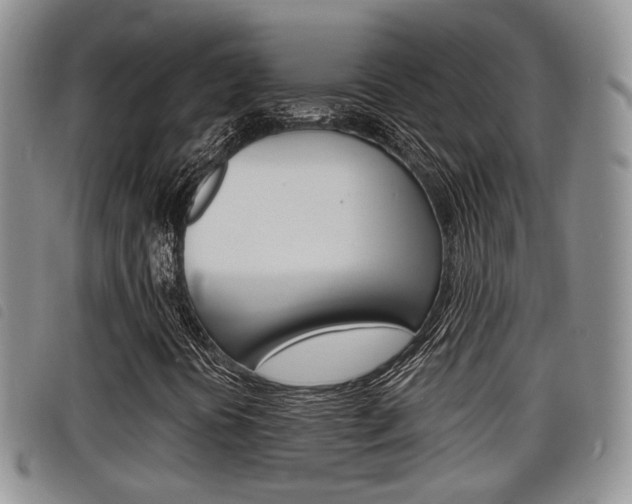 X0000098201394200804241027